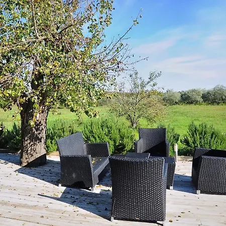 Unique Mojito With Extra Large Pool In For Up To 12 Persons, 6 Bedrooms Βίλα
